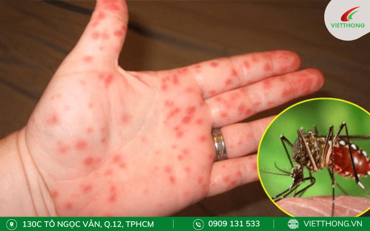 Tác hại của muỗi vằn