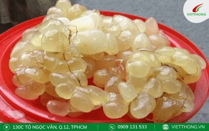 Mẹo đuổi chuột bằng mỡ trăn