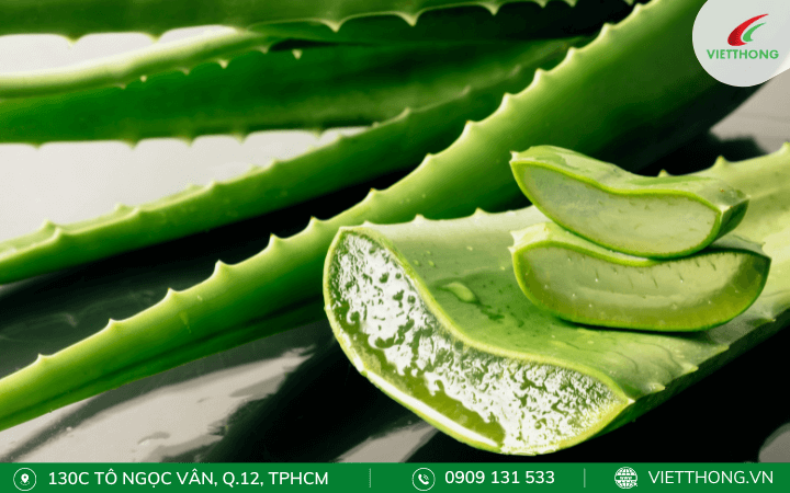 Sử dụng lá nha đam Sử dụng lá nha đam