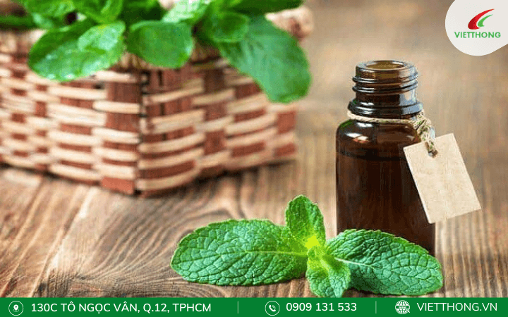 Tự chế dung dịch diệt kiến bằng tinh dầu bạc hà, xà phòng và nước