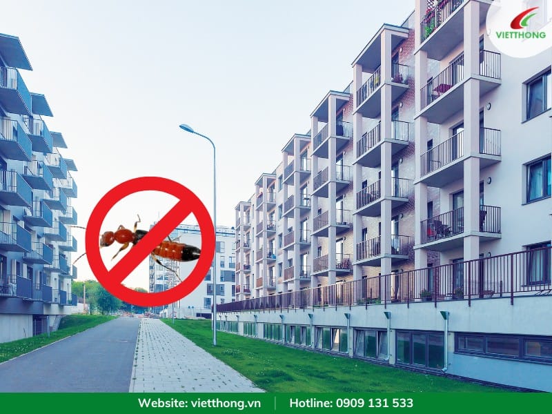 Cách phòng chống kiến ba khoang ở chung cư