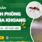 Cách phòng kiến ba khoang hiệu quả