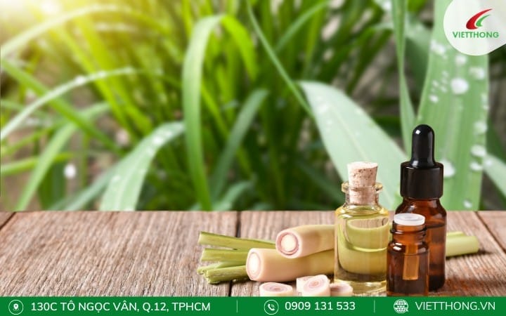 Dùng tinh dầu sả đuổi kiến ba khoang