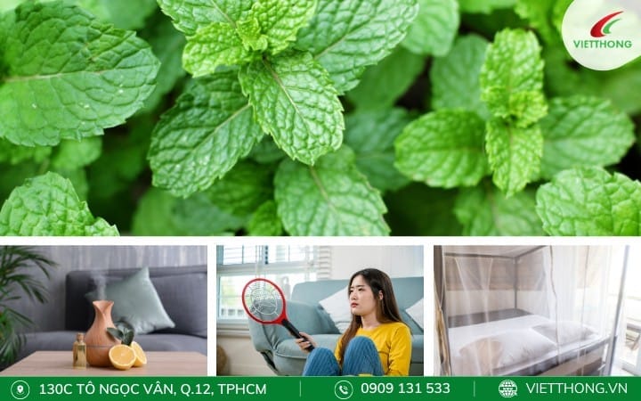 Cách biện pháp phòng muỗi cách biện pháp phòng muỗi