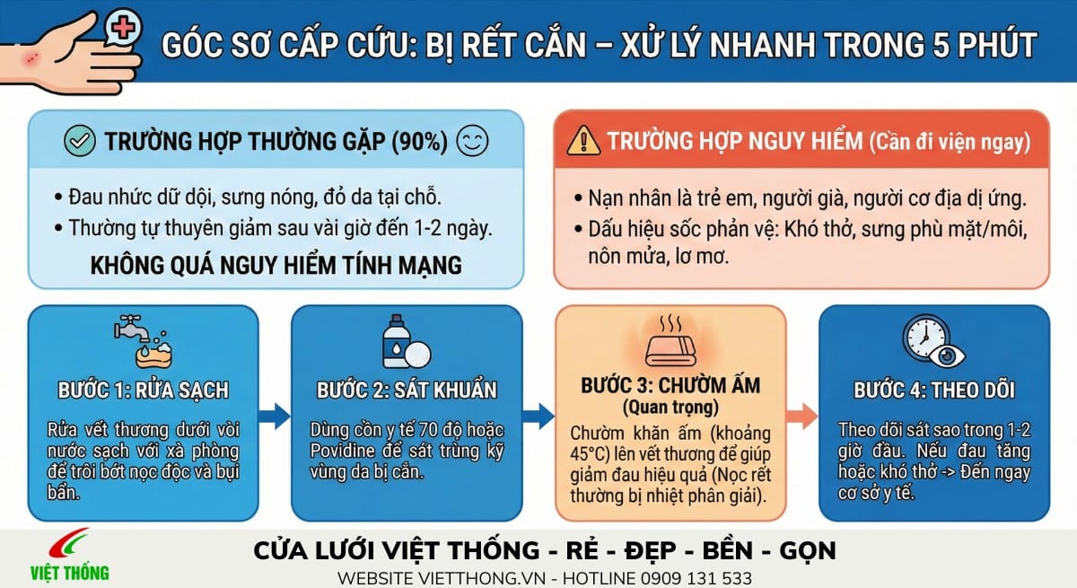 Cách sơ cứu nhanh khi bị rết cắn