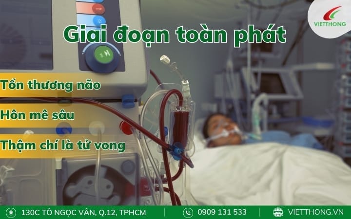 Giai đoạn toàn phát viêm não Nhật Bản Giai đoạn toàn phát viêm não Nhật Bản