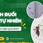 Cách đuổi muỗi tự nhiên