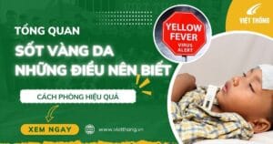 Sốt vàng da