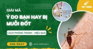 Giải mã lý do bị muỗi đốt