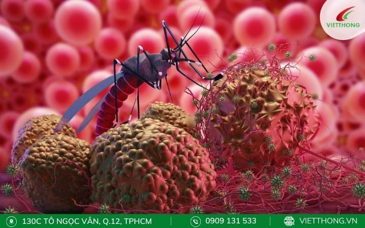 Virus Zika là gì